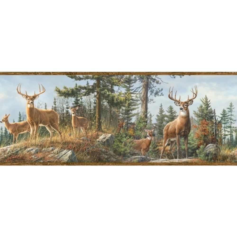 Wallpaper Border Whitetail Crest Buck Deer